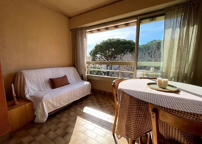 Cocooning Sur Le Port Proche De La Mer Apartment Hyeres